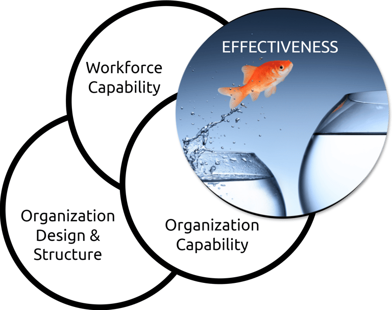 Organization Effectiveness