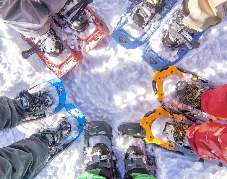 grupo de raquetas de nieve en circulo