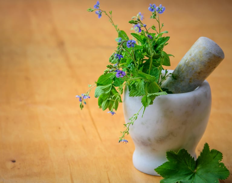 Plantas y Hierbas Medicinales