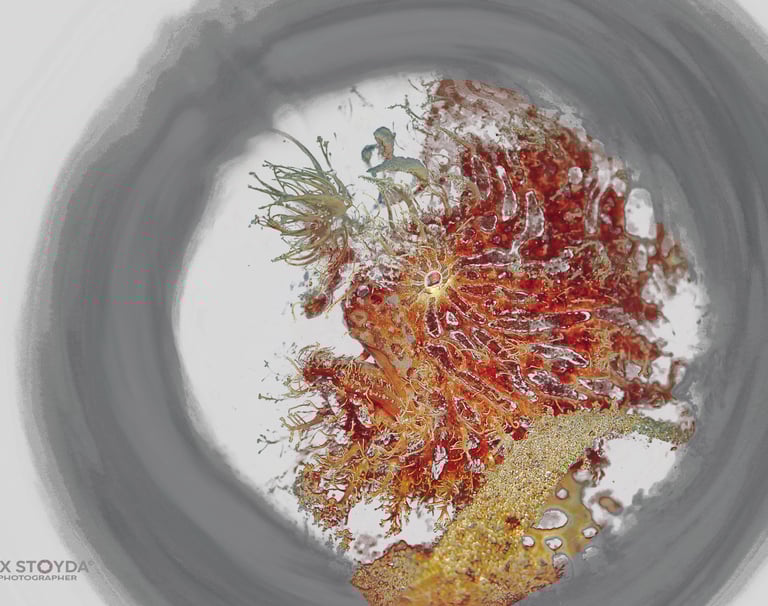 a piece of art work with a circular object