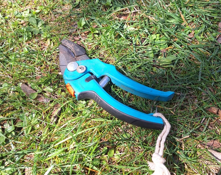 a pruning shear for trimming hanging garden plants