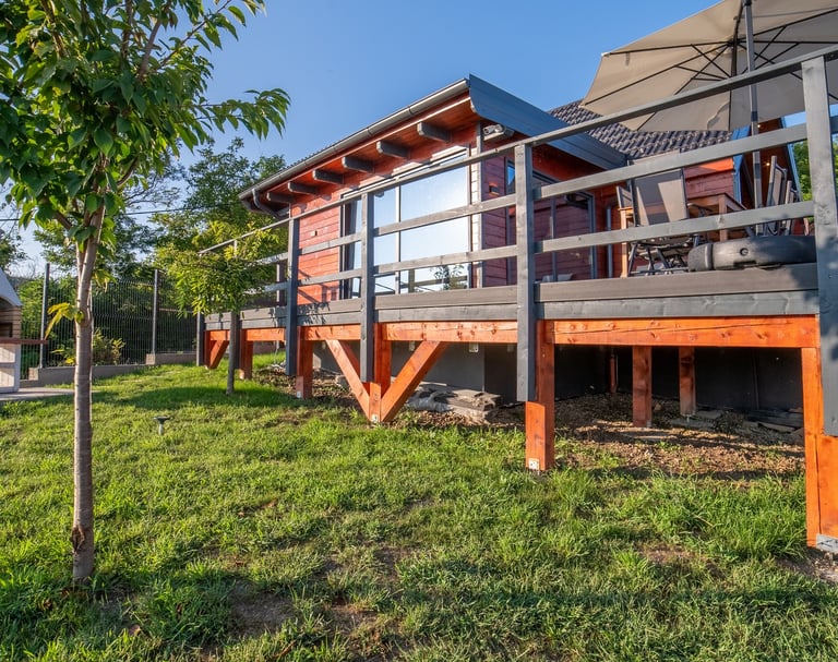 a house with a deck and a tree in the grass