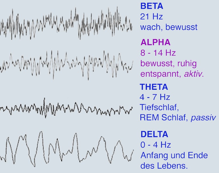 Frequenzen Brainwaves