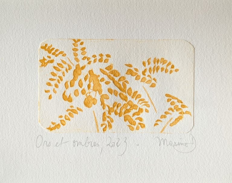 Feuillage lumière contraste gravure tetrapak