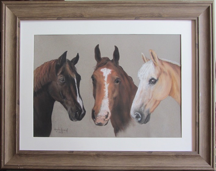 Commissioned triple portrait of lady's first three horses, as a birthday present using owner's photos, drawn in soft pastel
