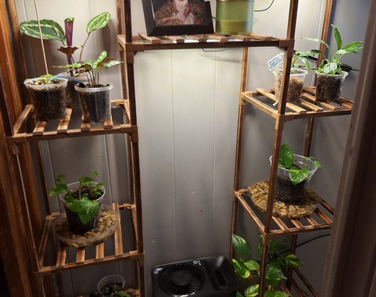 Indoor plant stand with built-in grow lights for houseplants.