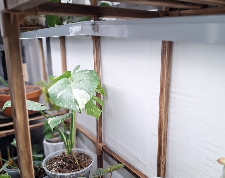 Barrina grow lights for indoor houseplants used in my Quiet at Home plant setup