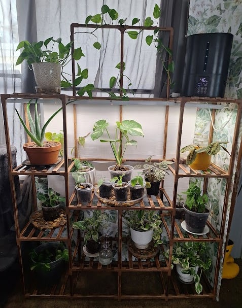 Tall indoor plant stand used for displaying houseplants in a cozy plant nook.