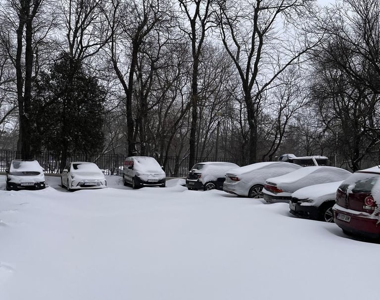 Pisicăria at the end of winter. no path yet!