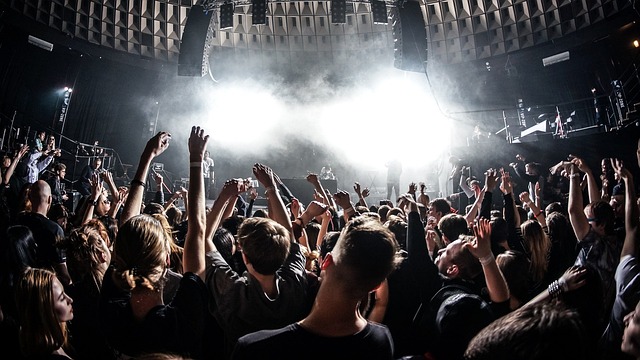 Público en un concierto en vivo en Valencia