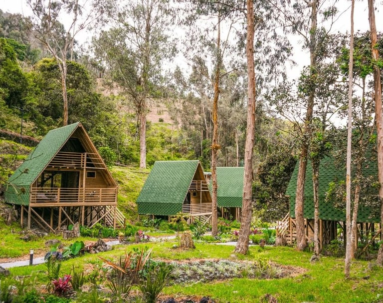 Cabañas,hotel ecológico, Colombia, cordillera de los andes