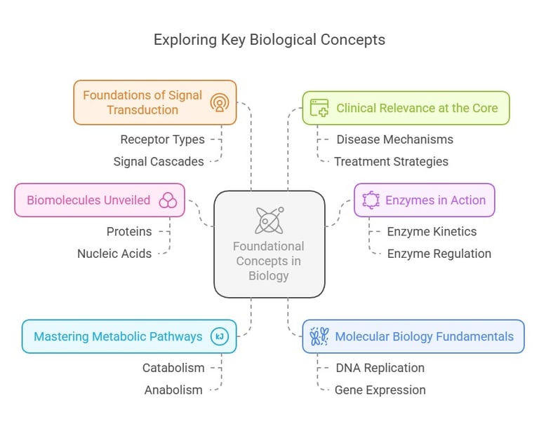 Key Biological Concepts