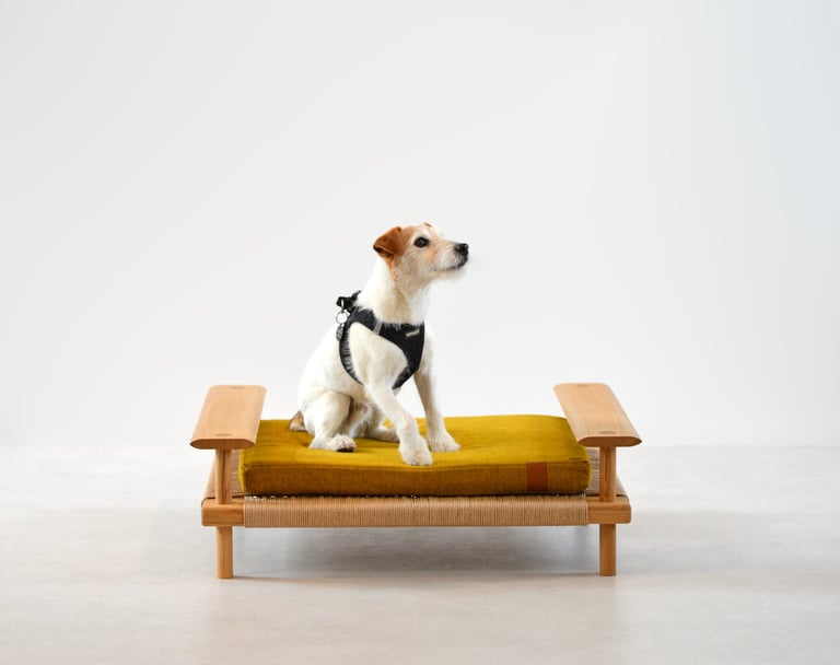 Bespoke Luxury dog bed in oak and danish paper cord Edinburgh Scotland
