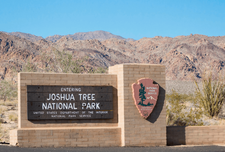 oshua Tree National Park, a unique pick for best US National Parks for Summer 2025