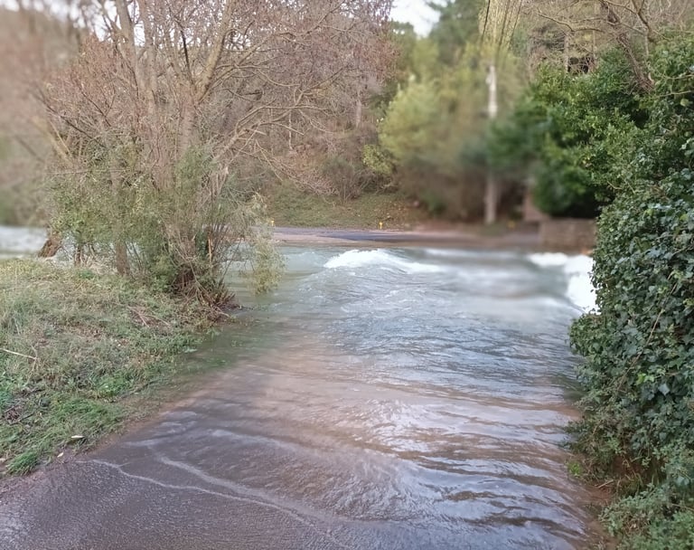 The ford.