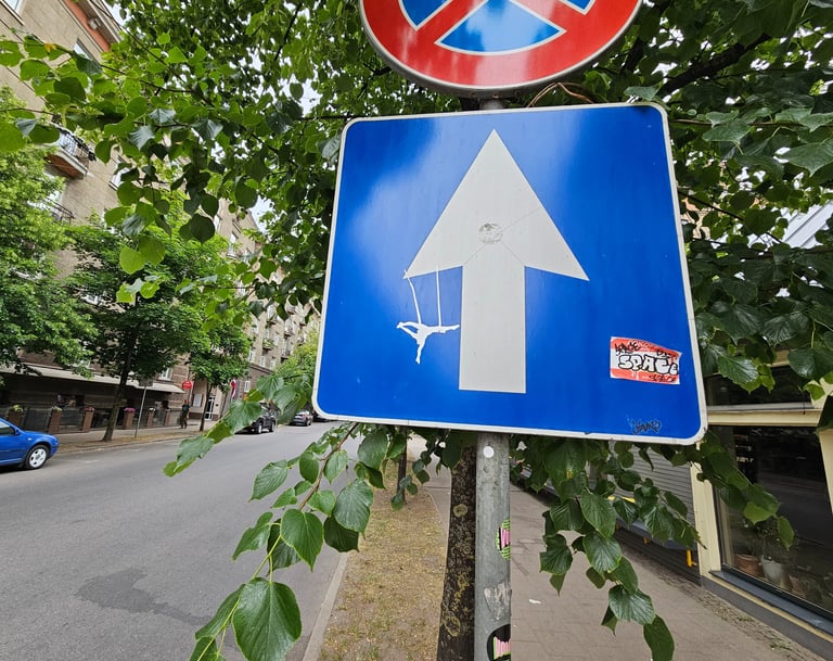 a street sign with a no parking sign on it