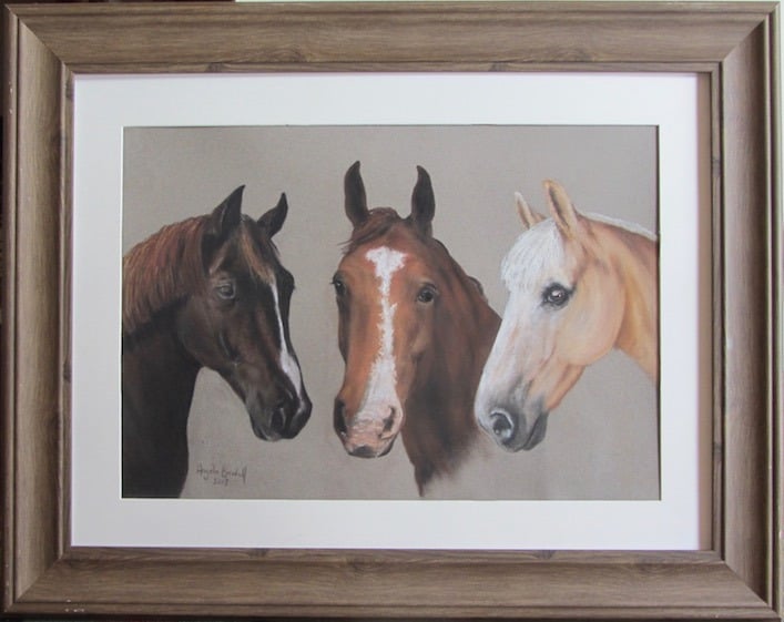 Commissioned triple portrait of lady's first three horses, as a birthday present using owner's photos, drawn in soft pastel