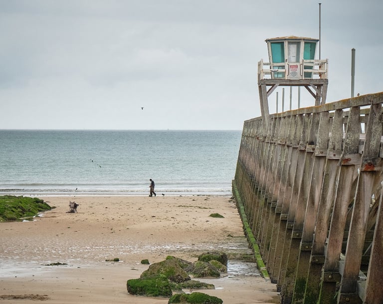 a person walking on a beach near a wooden pier