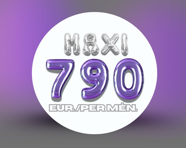 Socialinių tinklų paslaugų planai – MAXI planas.