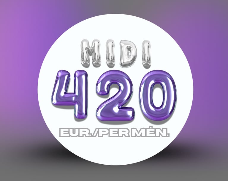  Socialinių tinklų paslaugų planai – MIDI planas.