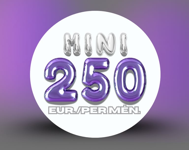 Socialinių tinklų paslaugų planai – MINI planas.