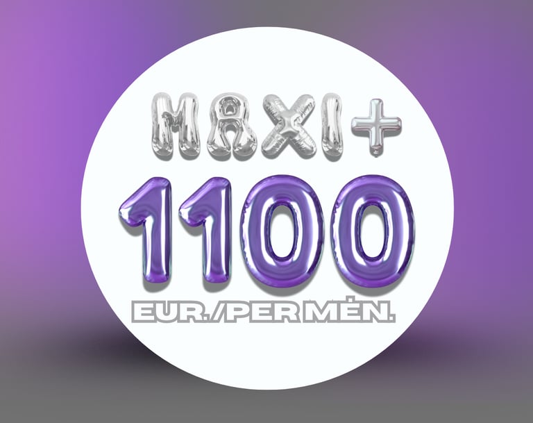 Socialinių tinklų paslaugų planai – MAXI+ planas.