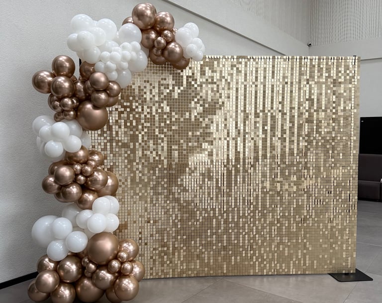 Blisgu, sampanine foto siena, foto sienele vilniuje, blisgu foto sienele, balionu arka