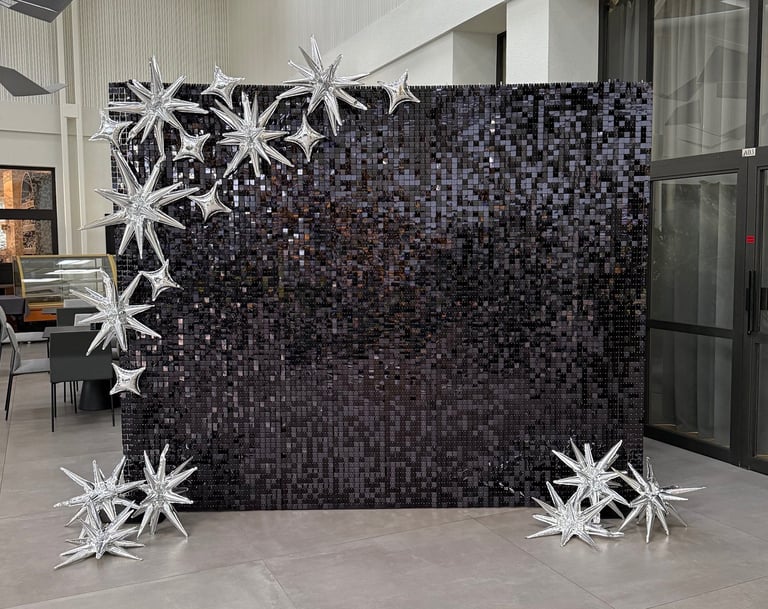 Juoda blizgi foto siena, foto siena vilnius, foto siena vilniuja, foto sieneles nuoma, foto sienele