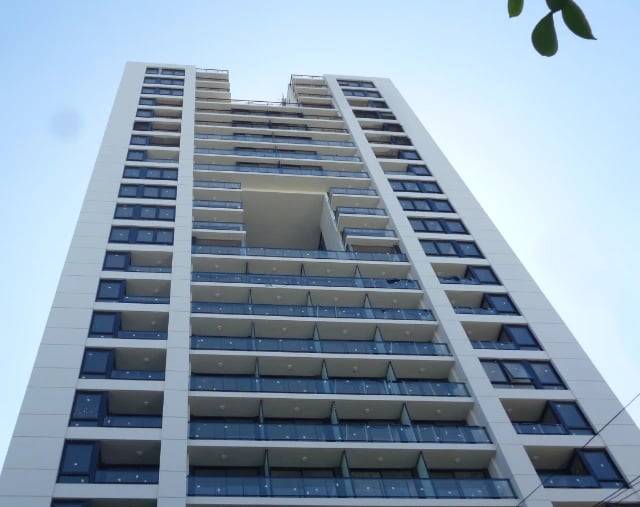 obra palmera