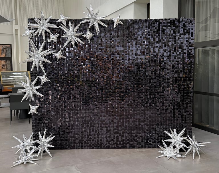 Juoda blizgi foto siena, foto siena vilnius, foto siena vilniuja, foto sieneles nuoma, foto sienele