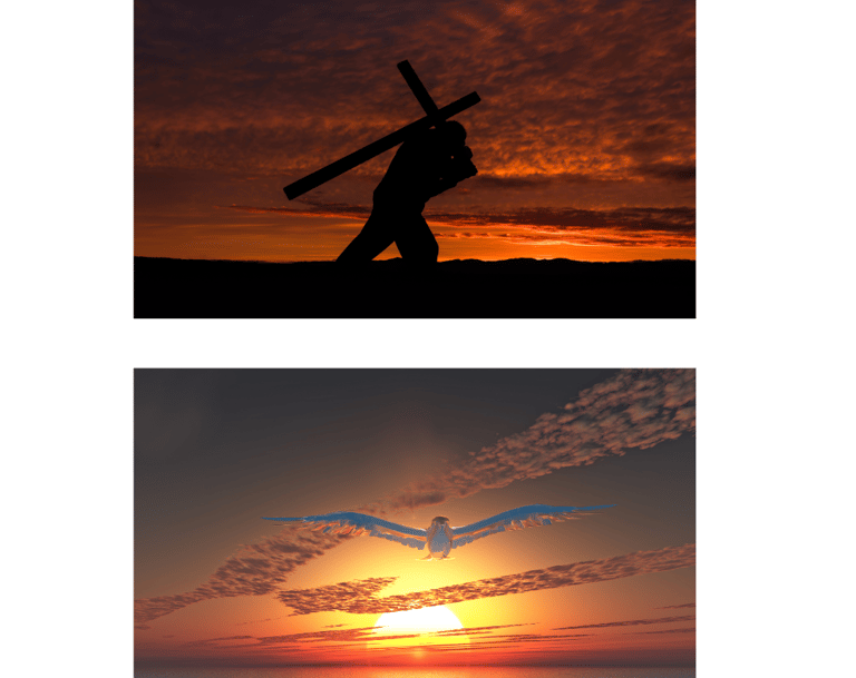 Pigeon volant au coucher du soleil, coucher du soleil, Saint-Esprit