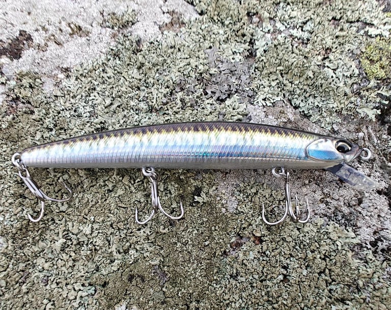 a sinking lure