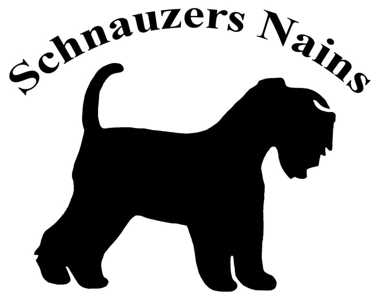 Logo d'un élevage de Schnauzer