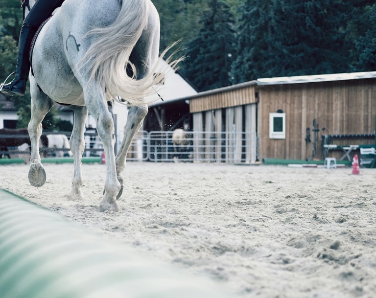 Horse trainer working at a professional boarding stable - equine bookkeeping services