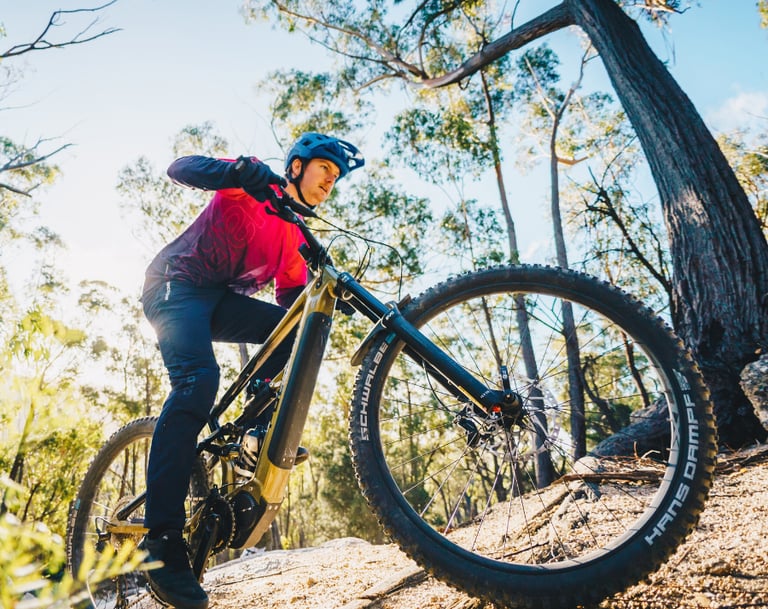 Photo_categorie-velo_electrique