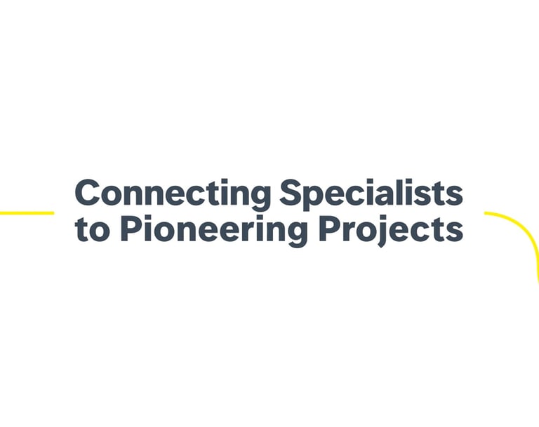 Momenta Consultancy - Motion Graphics - The Netherlands