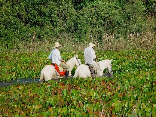 Horseback Ride in Pouso Alegre Lodge