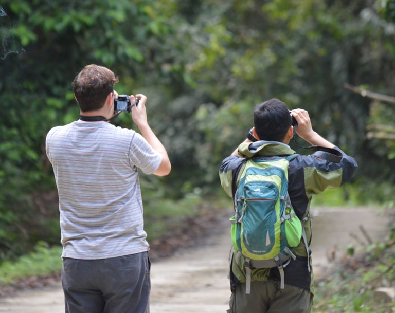A traveller taking picture of a wildlife 