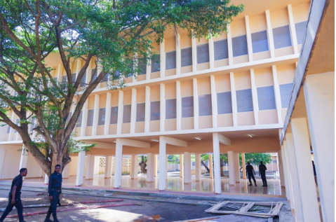 a man walking down a street with a tree in the background