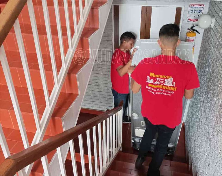 Damos el manejo adecuado a sus pertenencias durante todo el proceso de mudanza