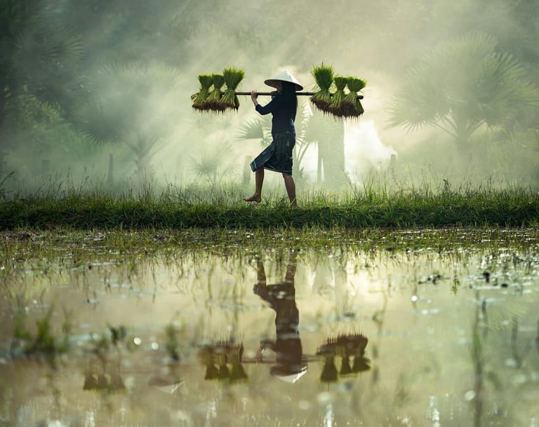 Indonesian farmer walking through agricultural field representing product sourcing