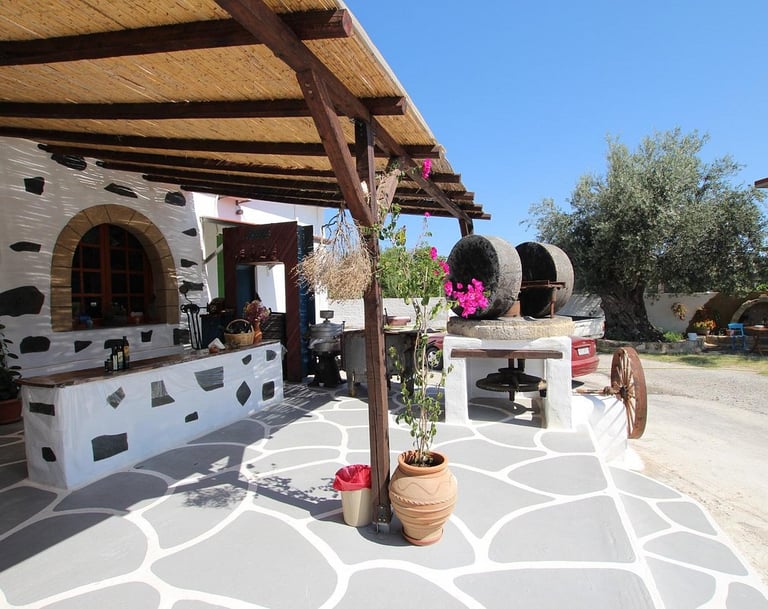 a stone oven with a pizza oven and a table with a potted plant