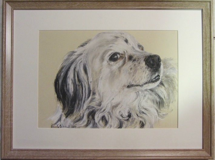Commissioned portrait of fun-loving dog, taken from owner's photograph, drawn in soft pastel