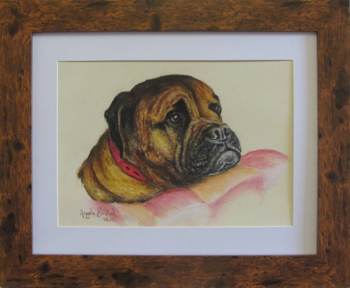 Commissioned portrait of dog, taken from owner's photograph, drawn in soft pastel