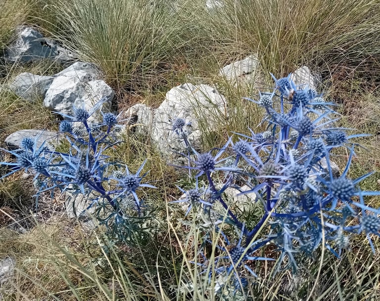 a blue flower with a bird on it