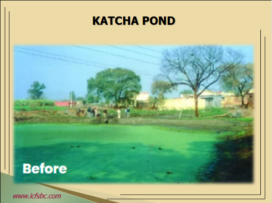 Katcha Pond