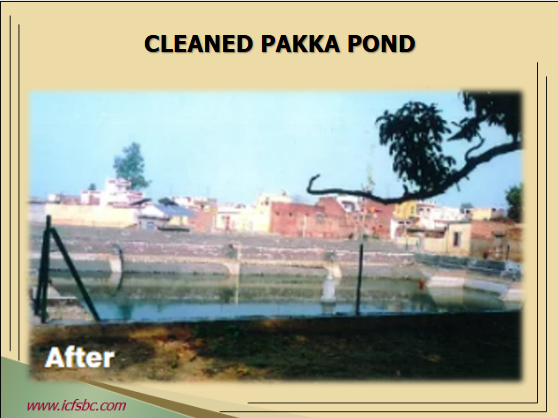 Cleaned Pakka Pond