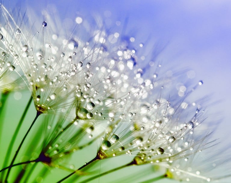 thérapie bien-être