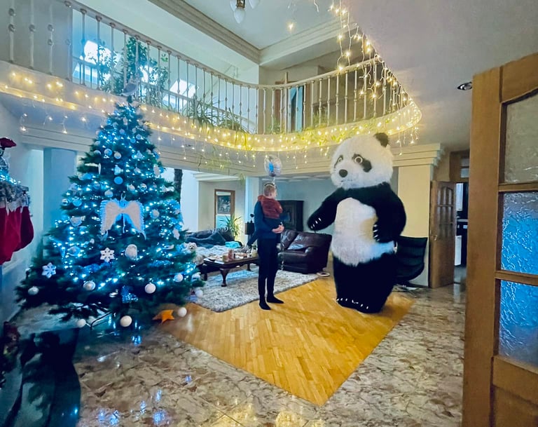 Šokanti panda, pandutės sveikinimas