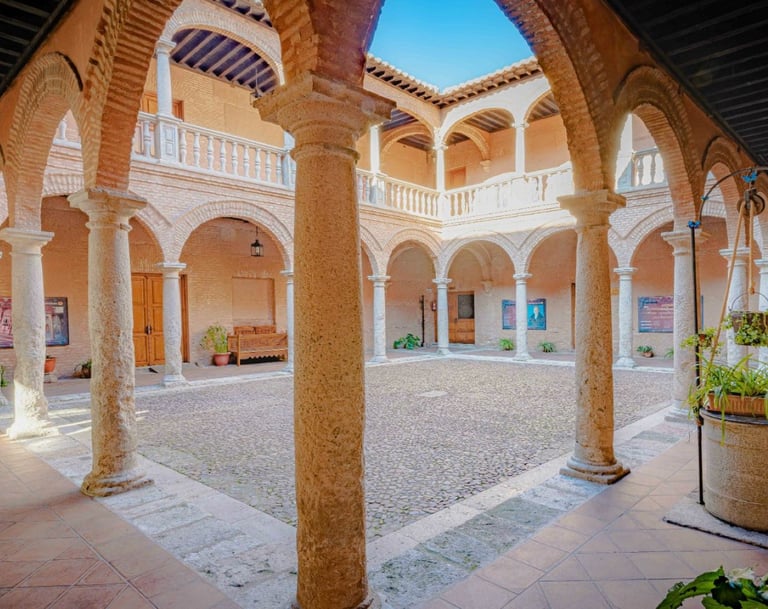 actividades para estudiantes universidad